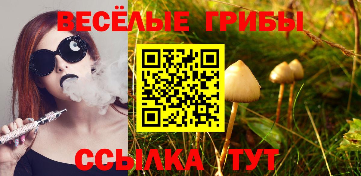 Галлюциногенные грибы Cubensis Кострома
